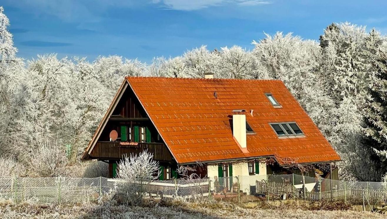 Ferienhaus Neubauer Spielfeld Zewnętrze zdjęcie