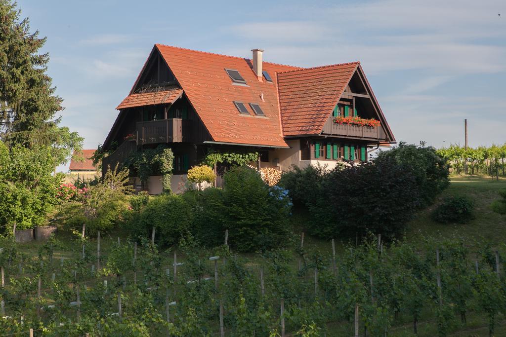 Ferienhaus Neubauer Spielfeld Zewnętrze zdjęcie