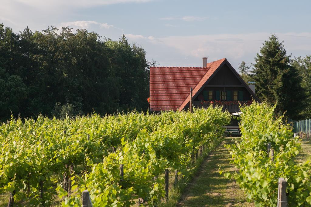 Ferienhaus Neubauer Spielfeld Zewnętrze zdjęcie